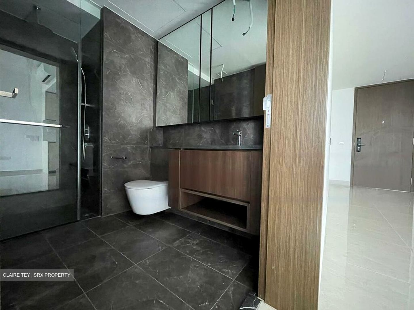 Kopar At Newton (D9), Apartment #577802911